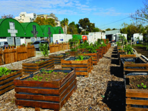 Abrió el Ecoparque en Caballito