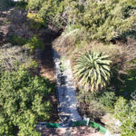 Renovación de accesos en Parque Centenario
