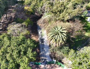 Renovación de accesos en Parque Centenario