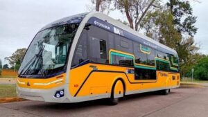 TramBús: debutará en octubre de 2026 